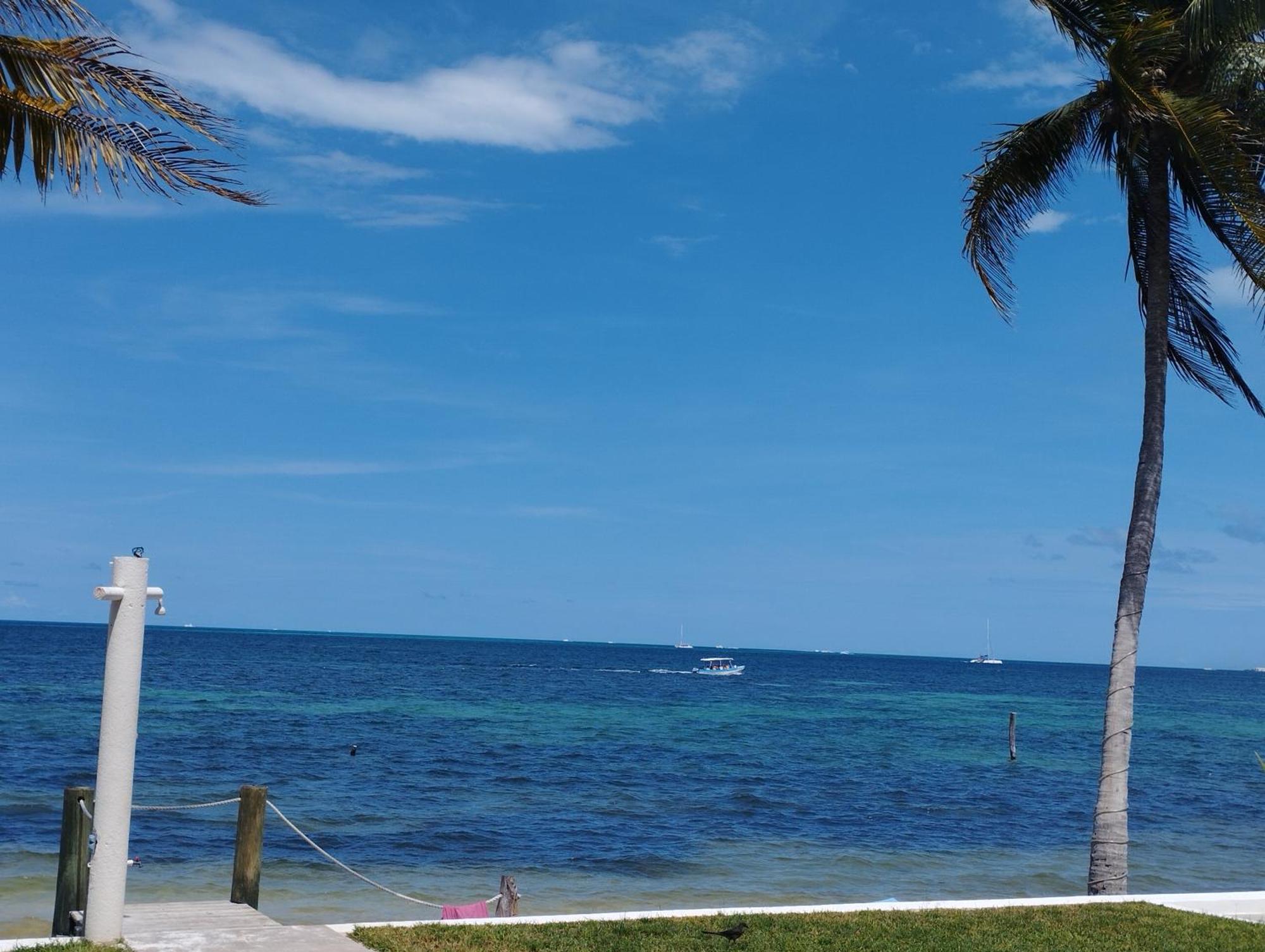 Cancun Ocean View Flamingo Plus Exterior photo